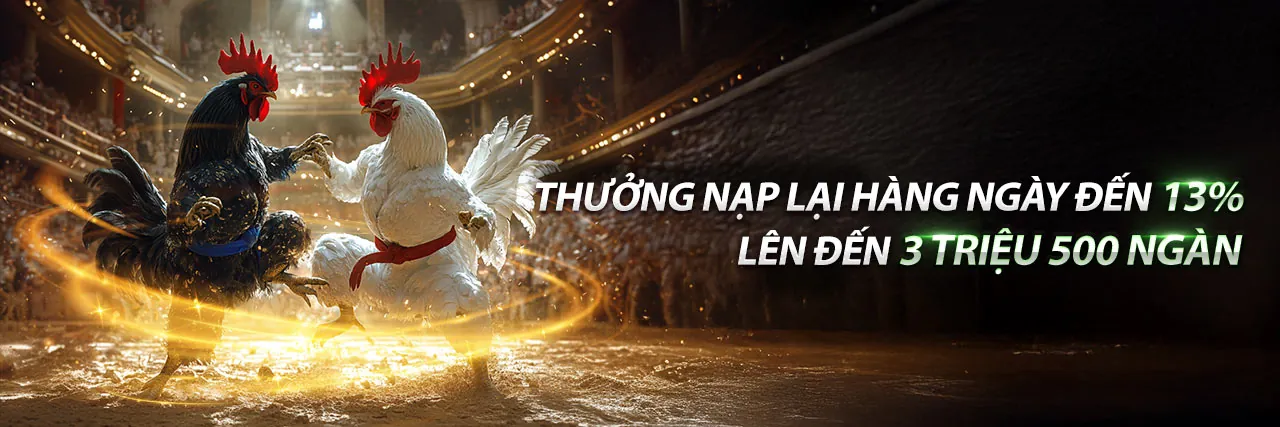 Hình ảnh chính về tin tức và khuyến mãi 888top